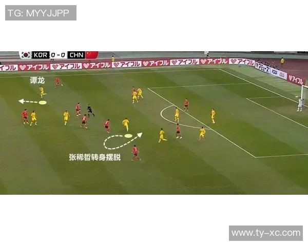 深圳排球队技术深度解析：从基本功到战术运用的全方位探讨