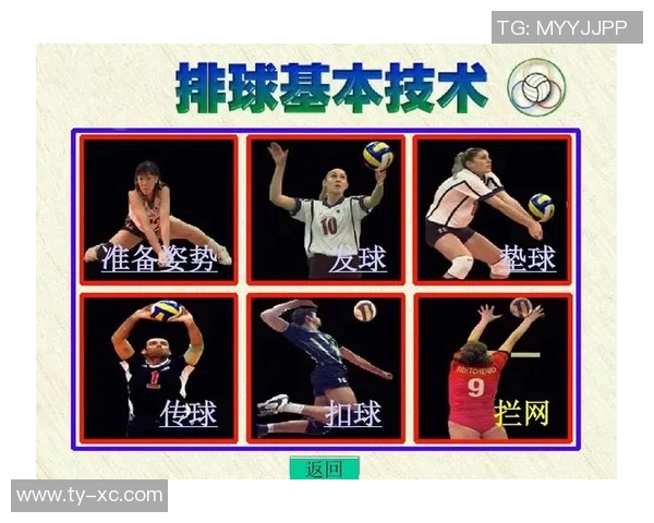 广州排球队灵活性对比分析揭示战术优势与发展潜力 广州排球队灵活性对比分析揭示战术优势与发展潜力