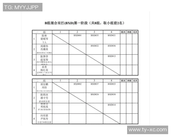 深圳羽毛球队在挑战赛中的比赛经验与表现分析
