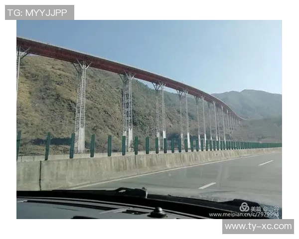 成都排球队的拼搏故事与荣耀历程全景纪实