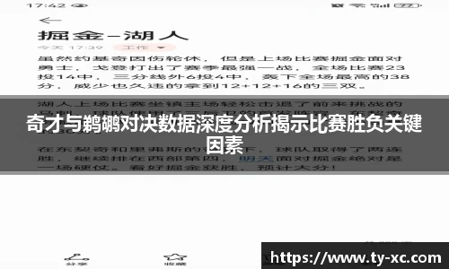 奇才与鹈鹕对决数据深度分析揭示比赛胜负关键因素